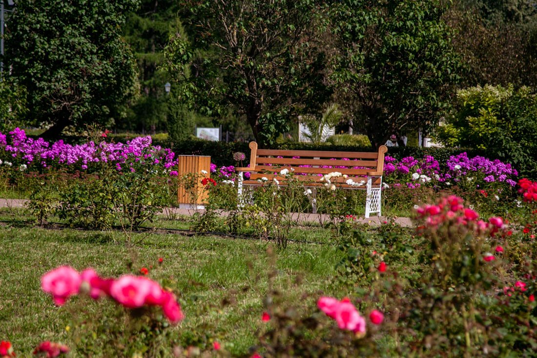 Открытие большого розария в парке «Сокольники» 2020