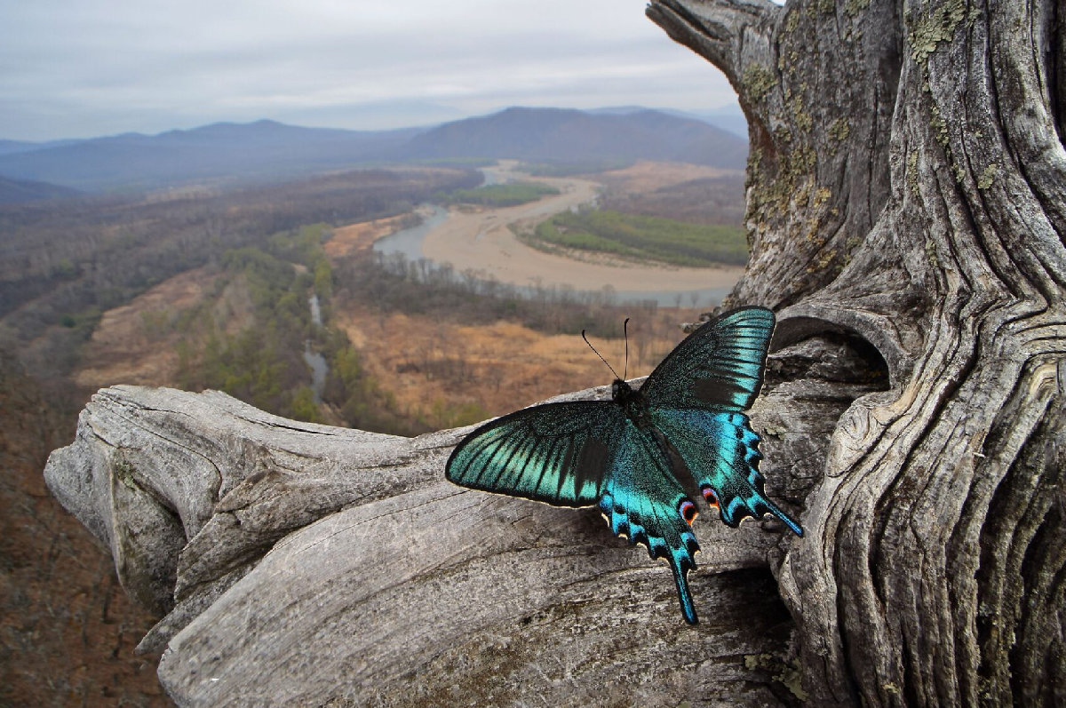 Фото: belyaevo.vzmoscow.ru