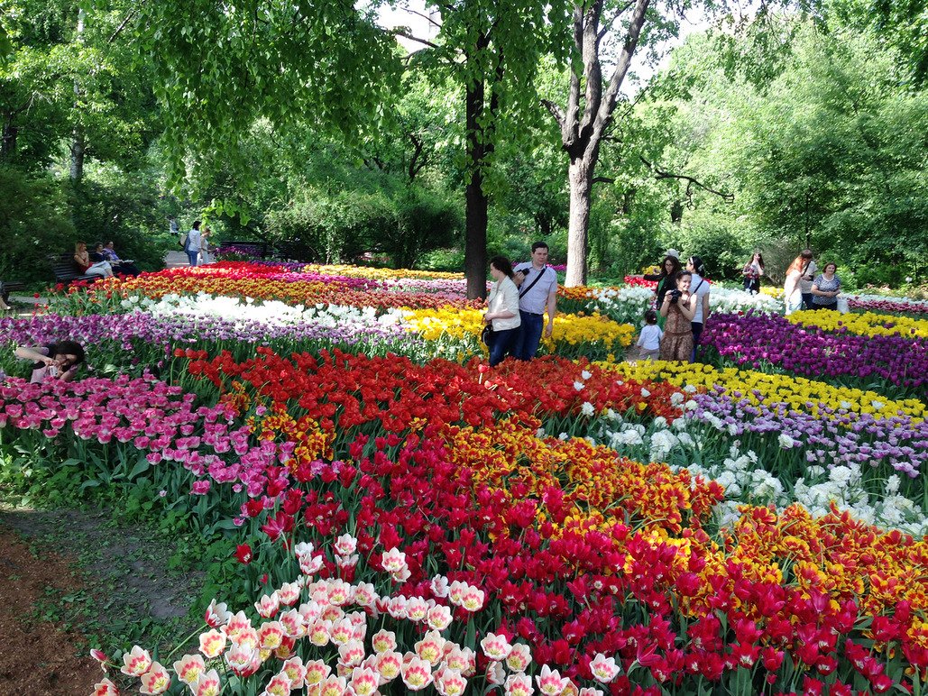 XVII Весенний фестиваль цветов в «Аптекарском огороде»