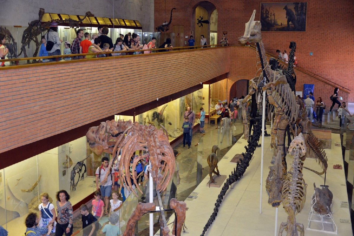 День Палеонтологического музея 2019