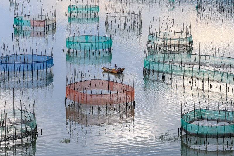 Фото: darwinmuseum.ru