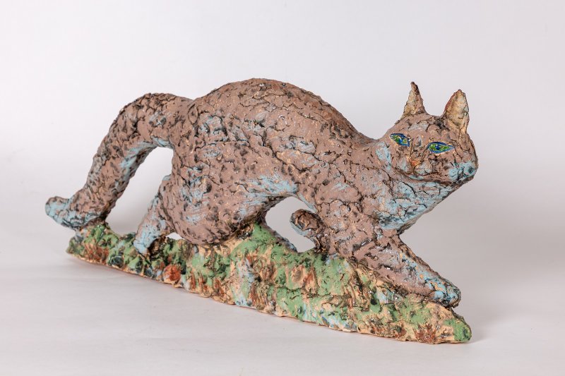 Фото: darwinmuseum.ru