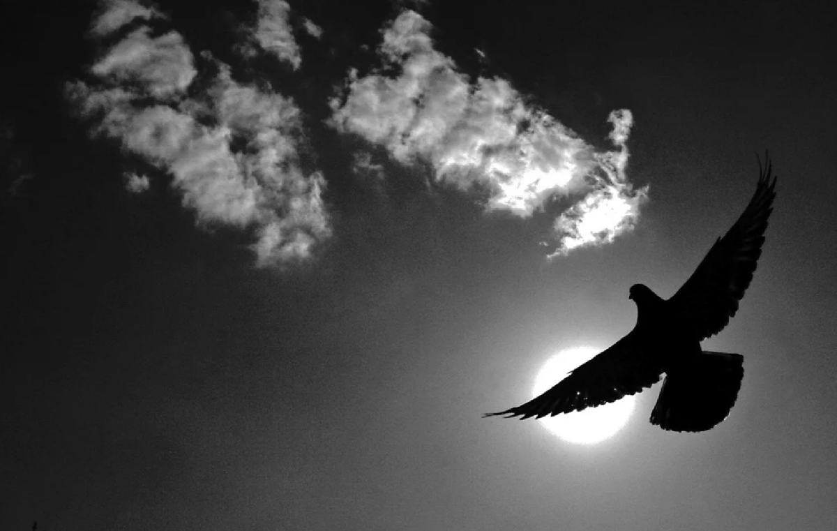 Фото: trubnaya.vzmoscow.ru