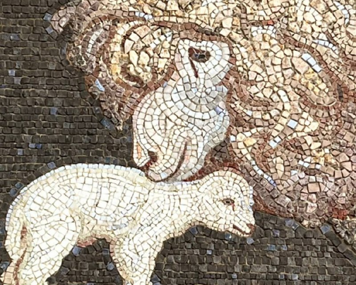 Фото: darwinmuseum.ru