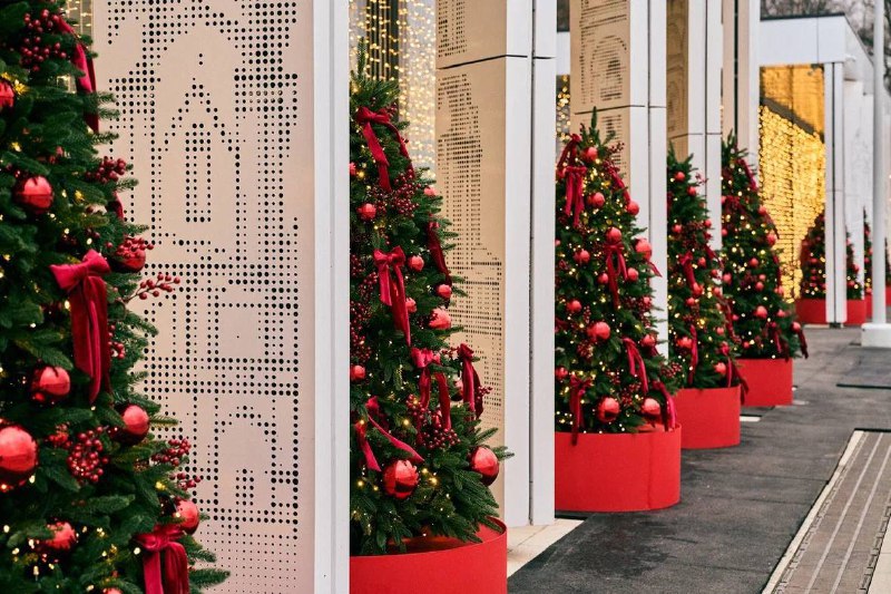 Каток на Царской набережной музея-заповедника «Коломенское» 2025–2026