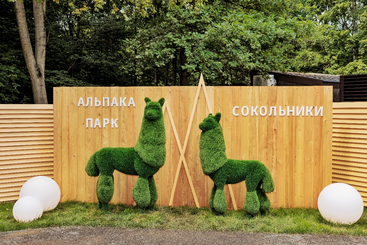 Осенние каникулы в Альпака Парке Сокольники