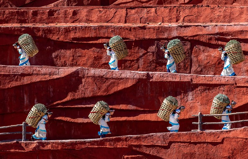 Фото: darwinmuseum.ru