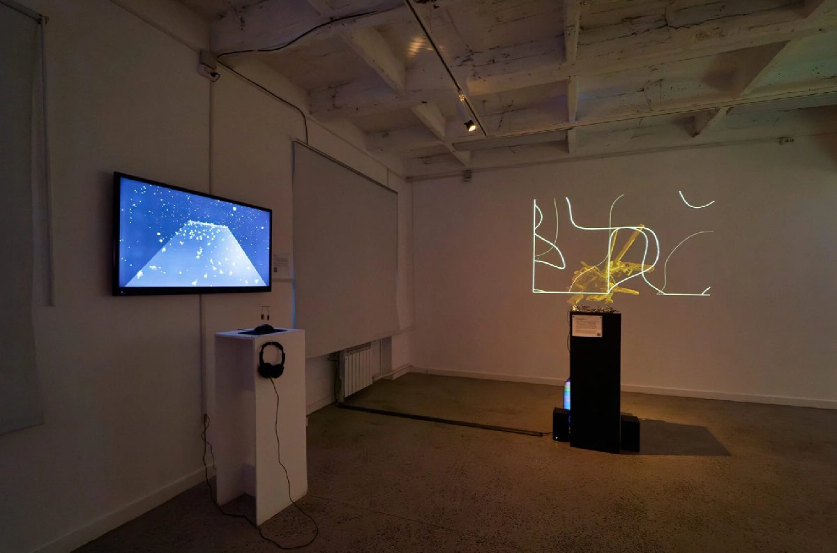 Фото: kholmy.vzmoscow.ru