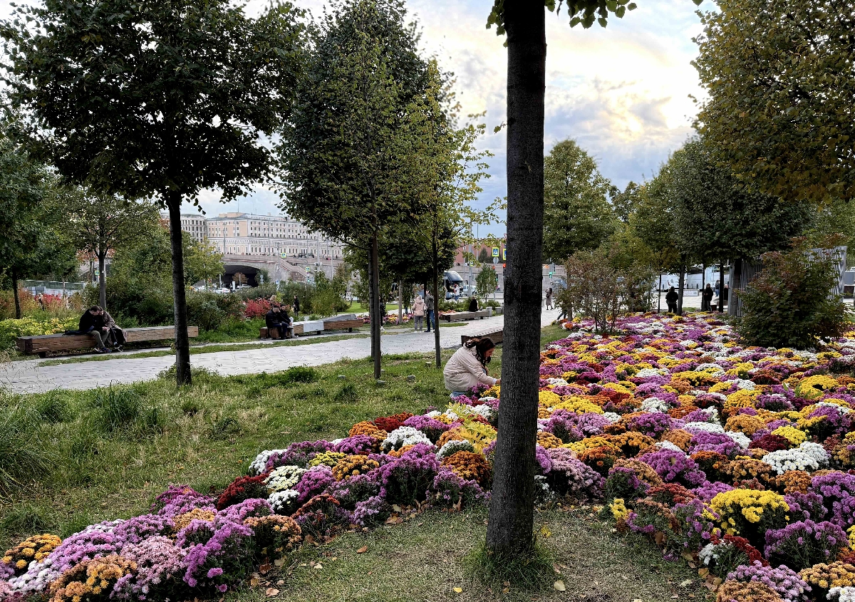 Парк Зарядье