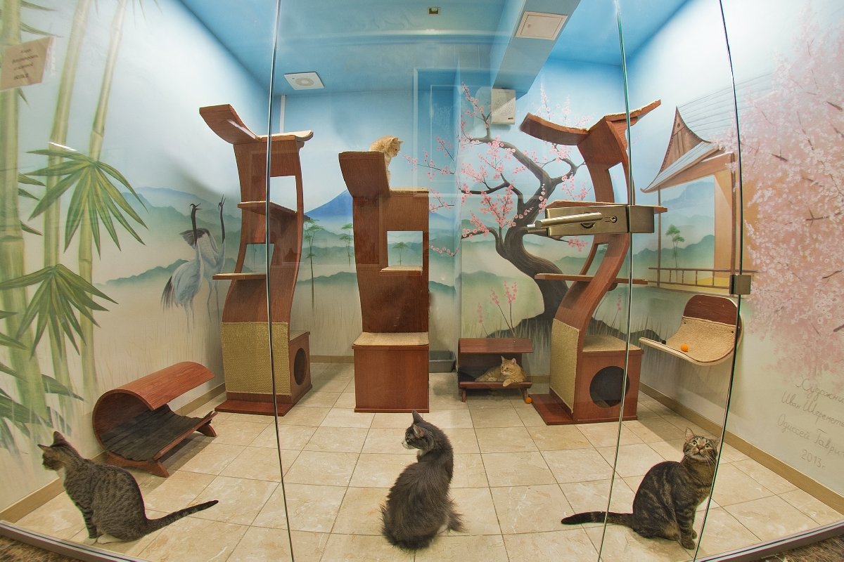 театр кошек куклачева зала