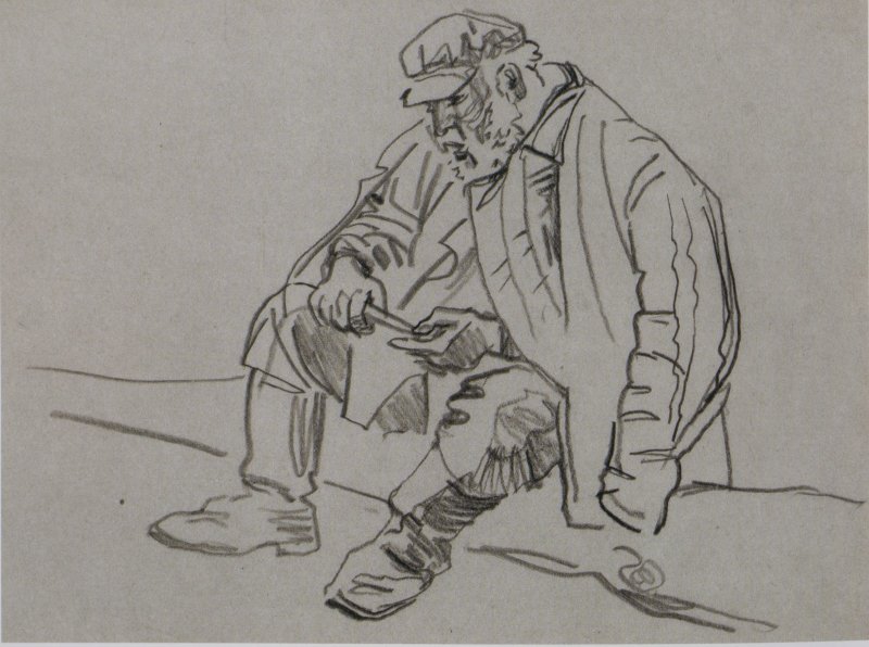 Фото: darwinmuseum.ru