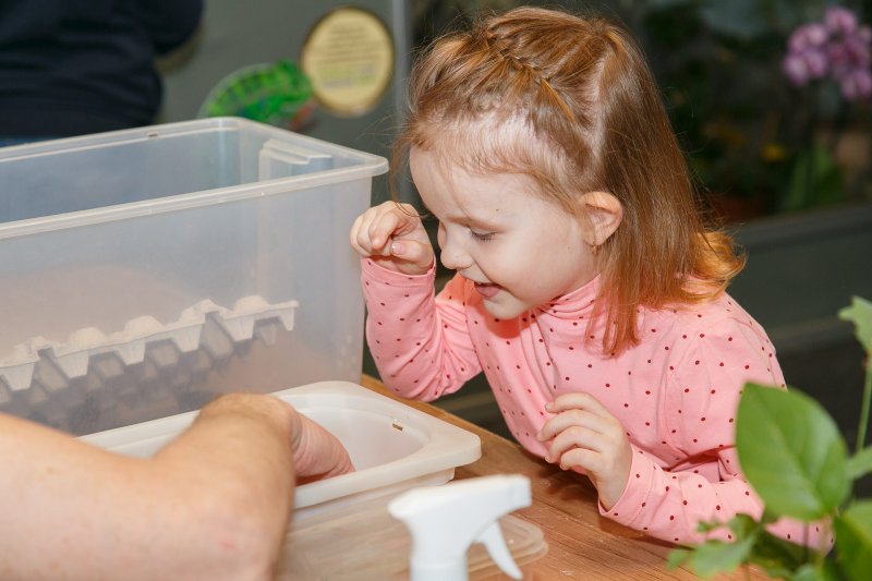 Фото: darwinmuseum.ru