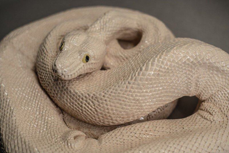 Фото: darwinmuseum.ru