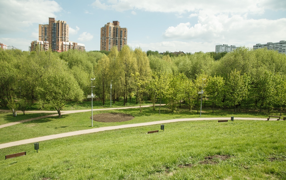 Давыдково московская область