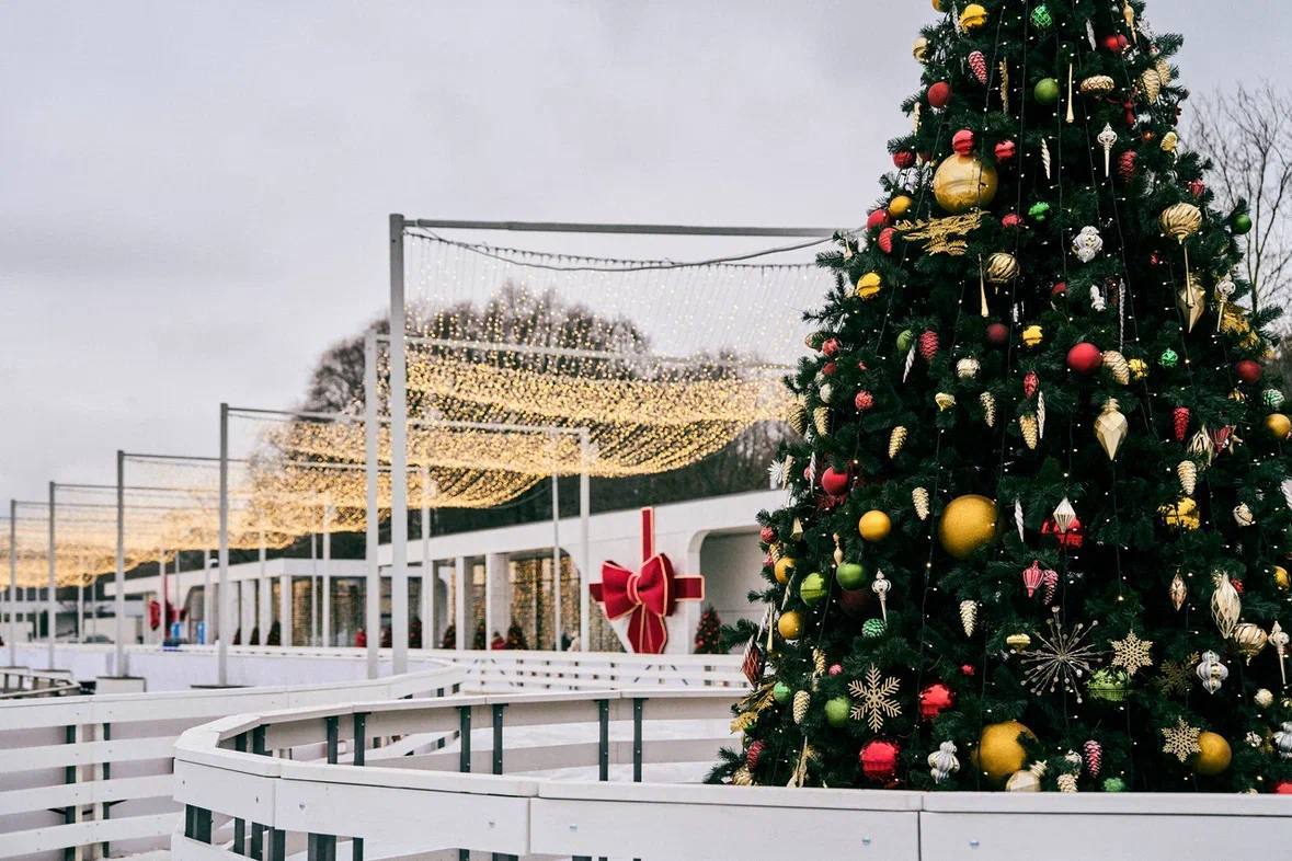 Каток на Царской набережной музея-заповедника «Коломенское» 2025–2026