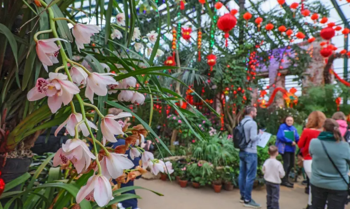 Фото: hortus.msu.ru