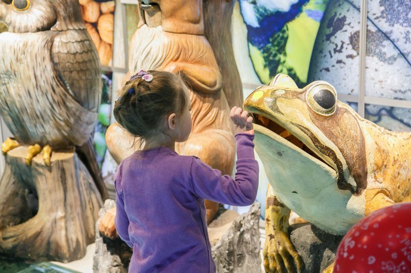Международный день семьи в Дарвиновском музее 2016