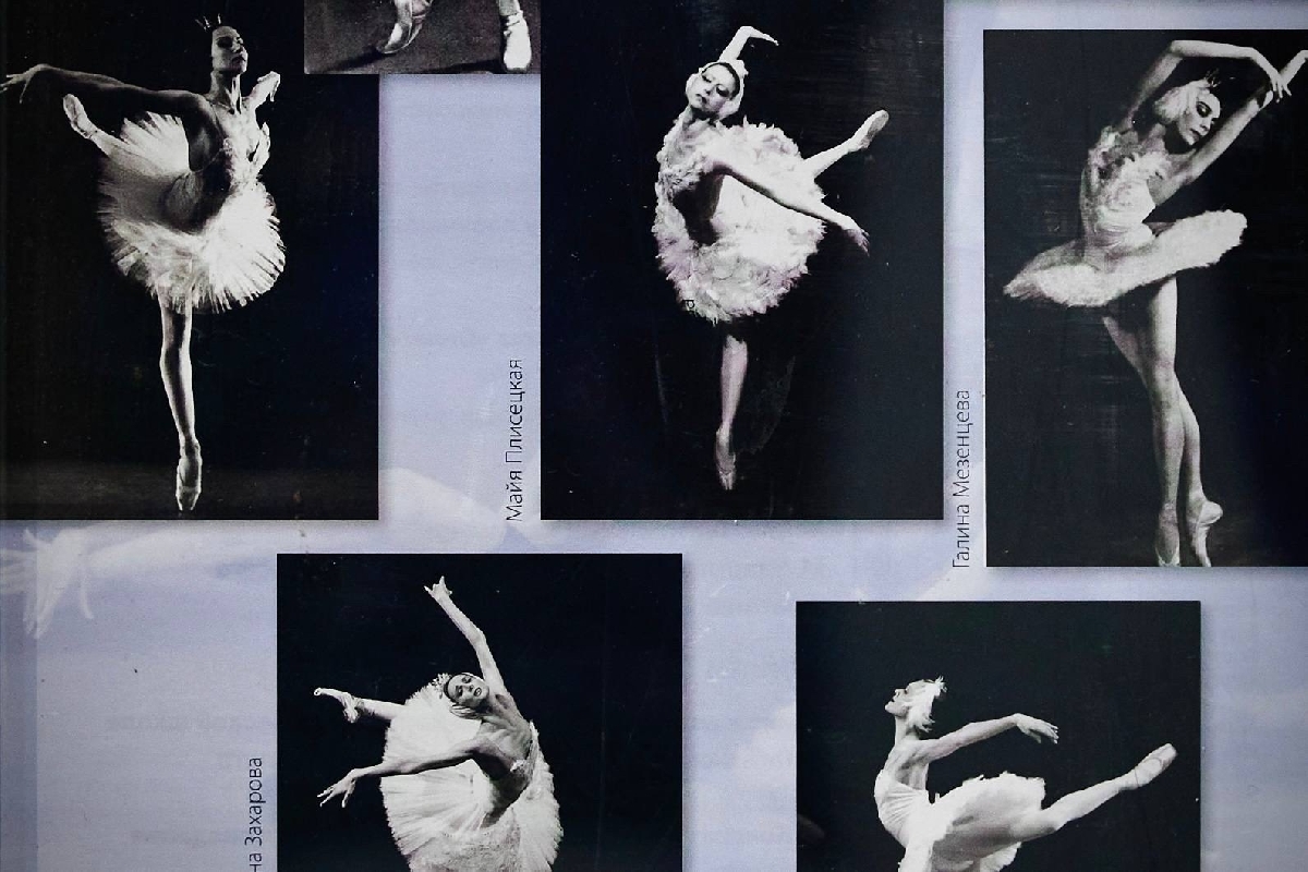 Фото: vk.ru/bogorodskoegallery