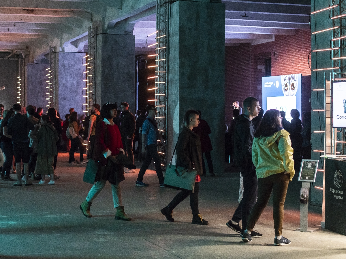 Фото: vk.com/mosmuseum