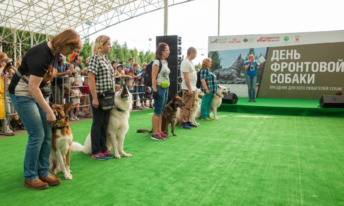 Семейный фестиваль «День Фронтовой собаки» 2022