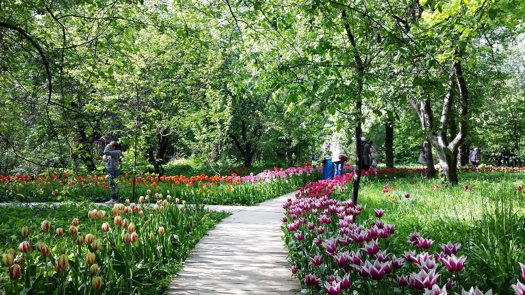 Ботанический парк москва фото