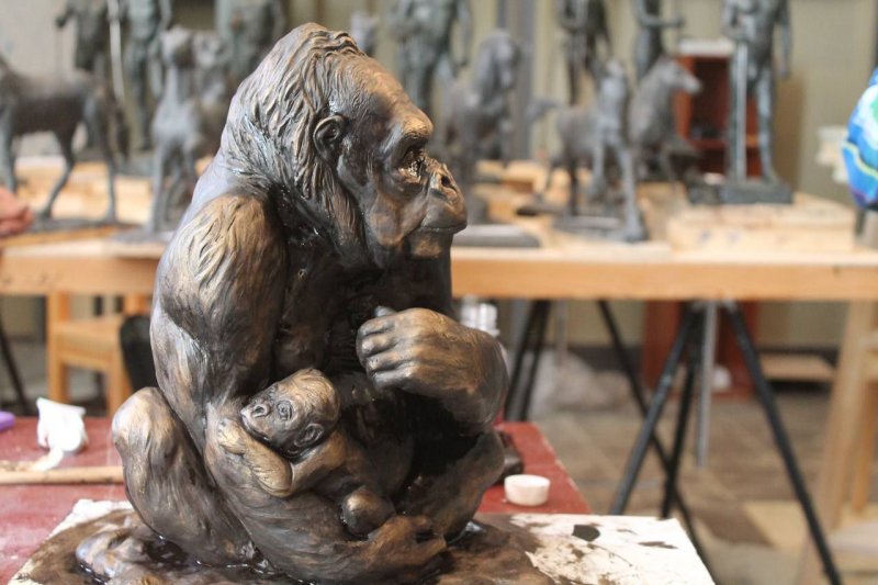 Фото: darwinmuseum.ru