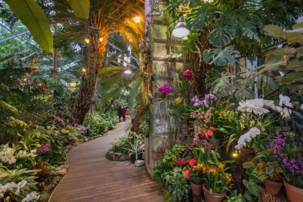 Тропическая оранжерея в Ботаническом саду