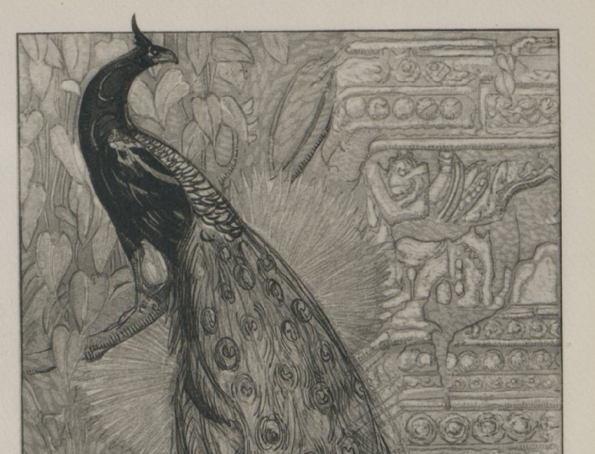 Фото: darwinmuseum.ru