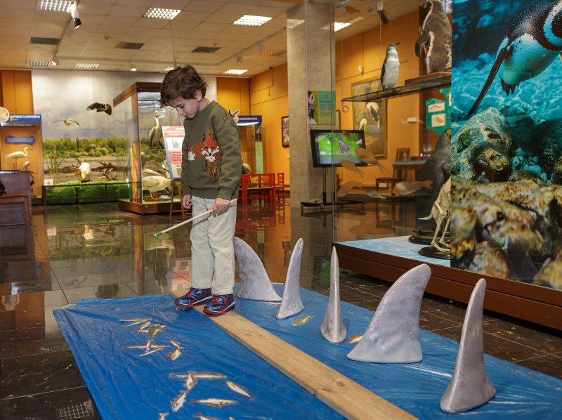 Фото: darwinmuseum.ru