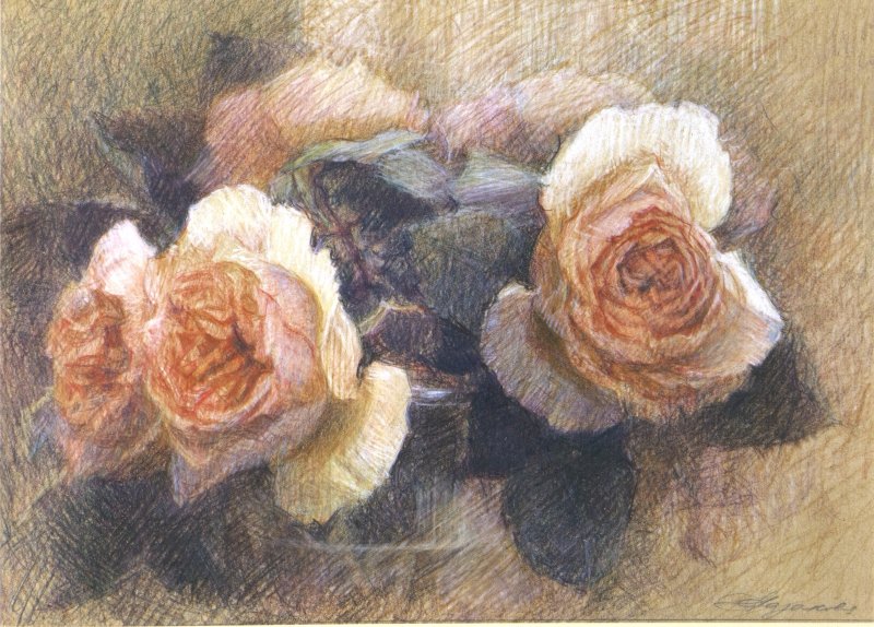 Фото: darwinmuseum.ru