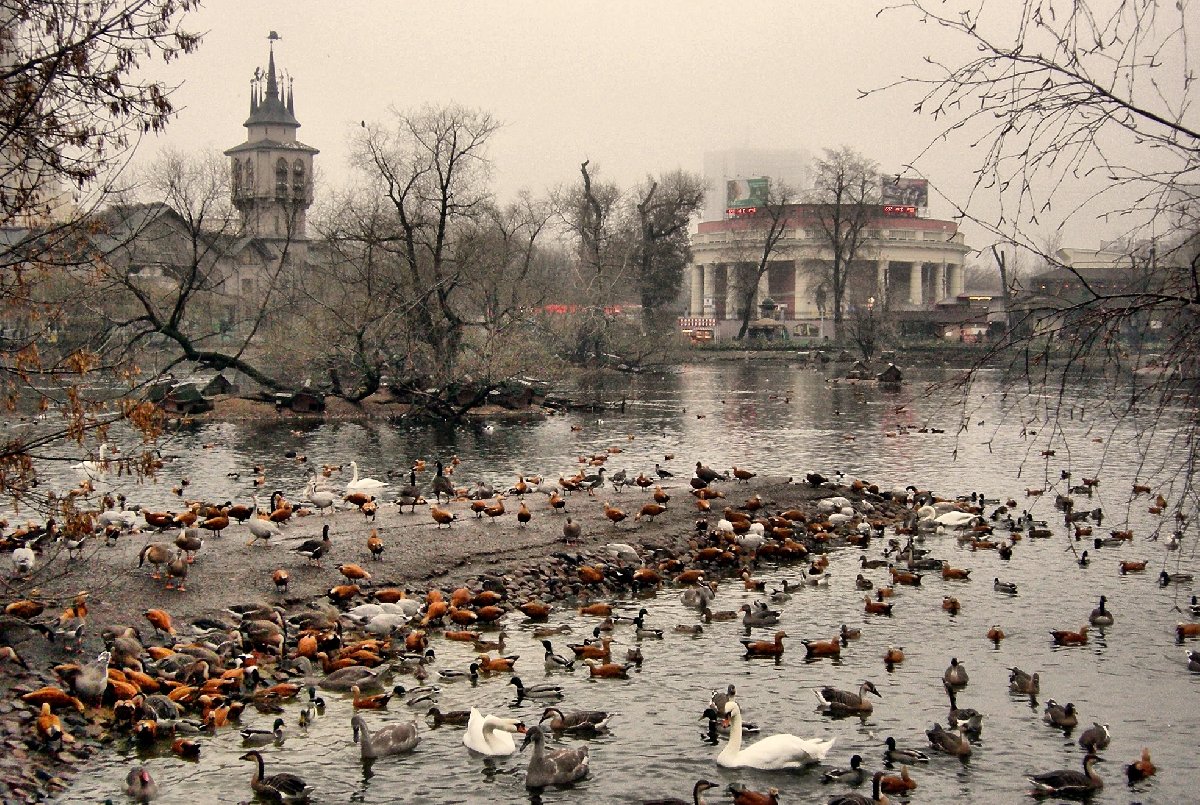 Московский зоопарк