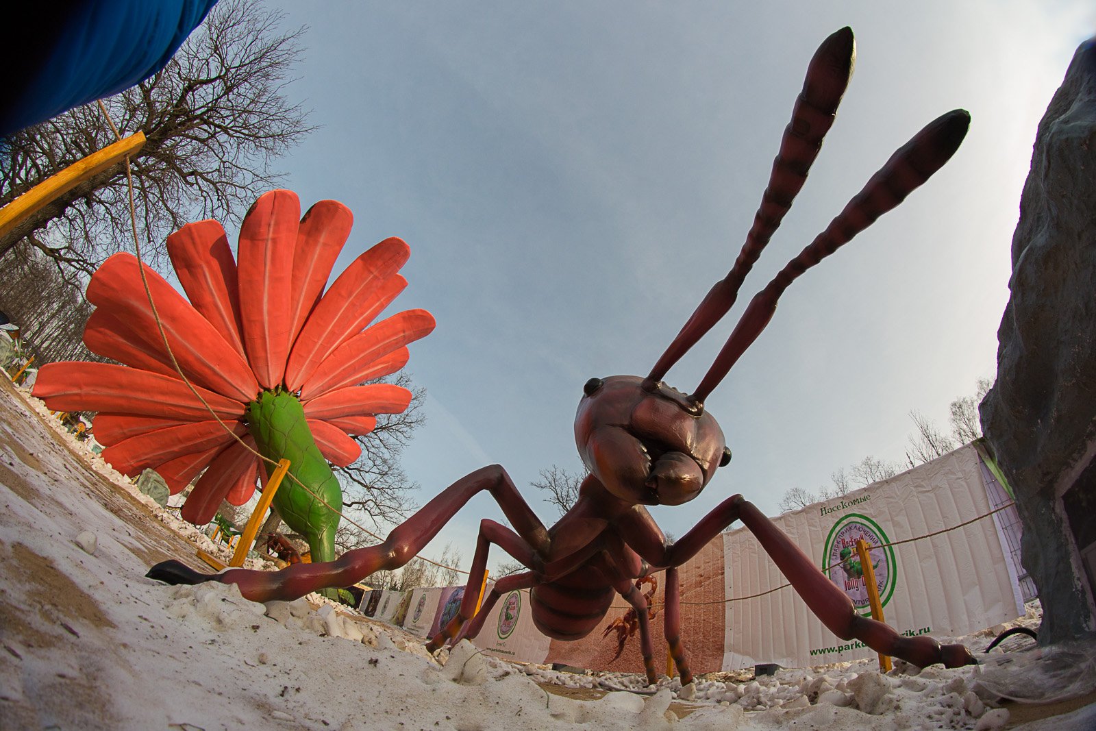 Парк гигантских насекомых на ВДНХ