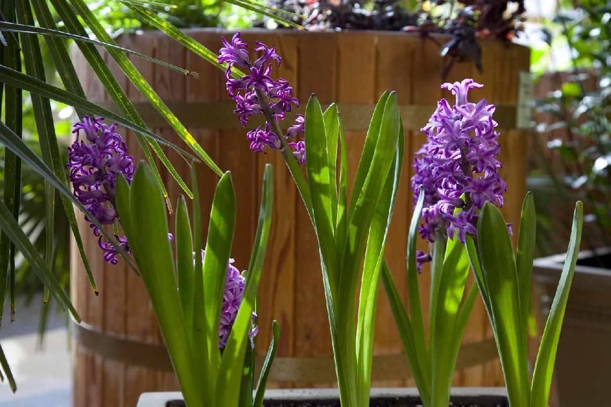 Фото: tsaritsyno-museum.ru