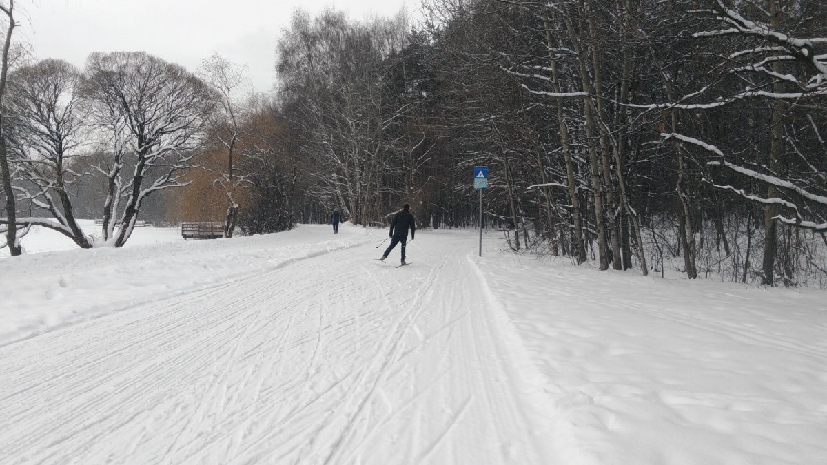 10 лучших лыжных трасс в парках Москвы