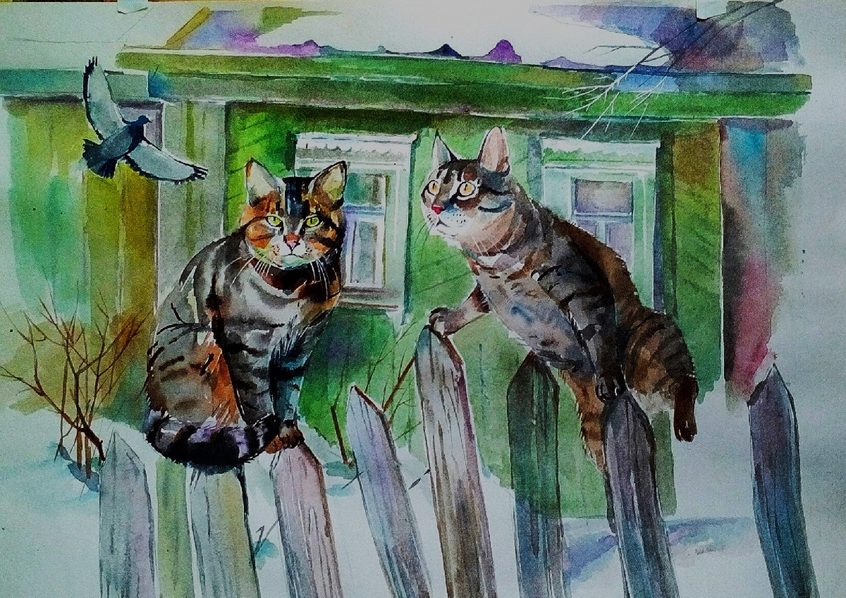 Фото: vk.com/tushinovz