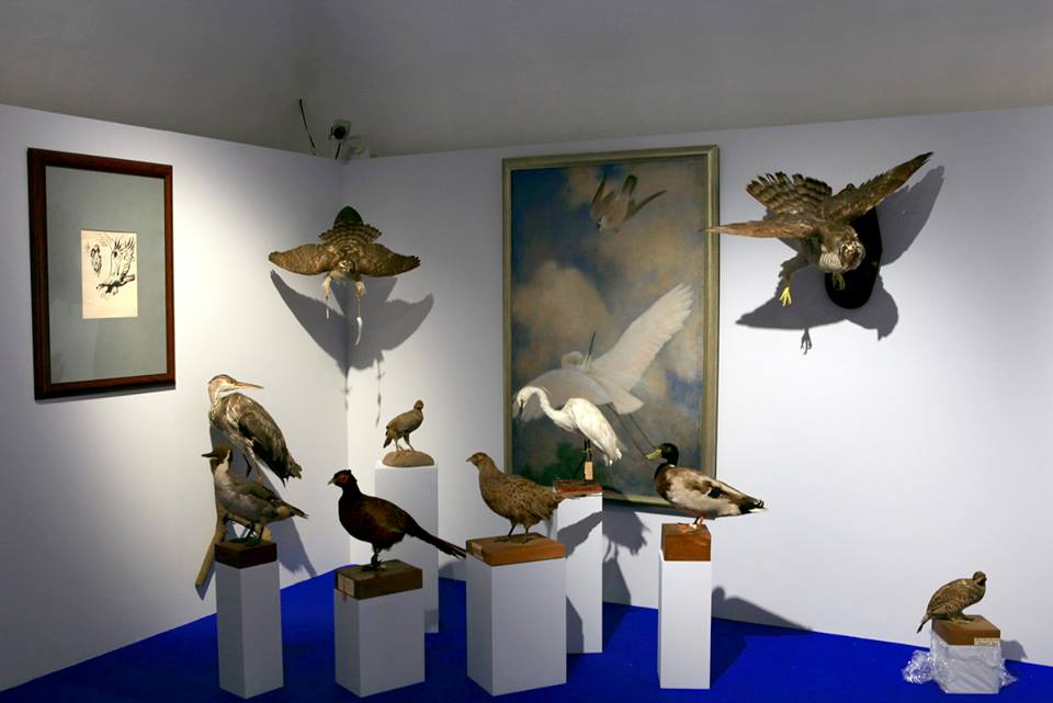 Выставка «Соколиная охота. Царская потеха с ловчими птицами»