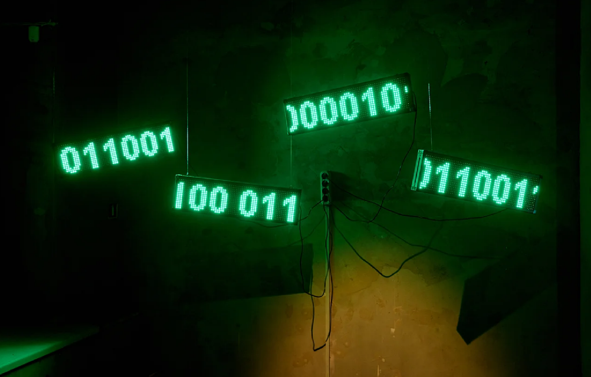 Фото: psch.vzmoscow.ru