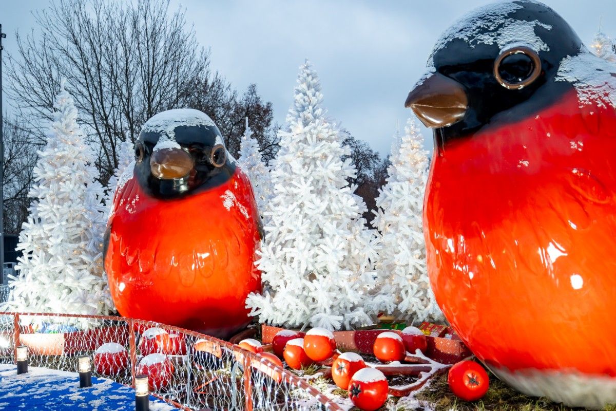 Фото: zima.mos.ru