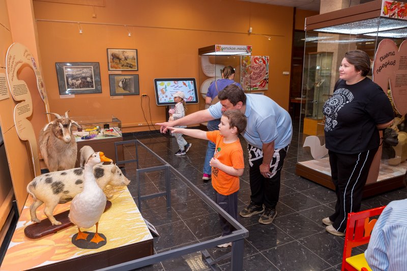 Фото: darwinmuseum.ru