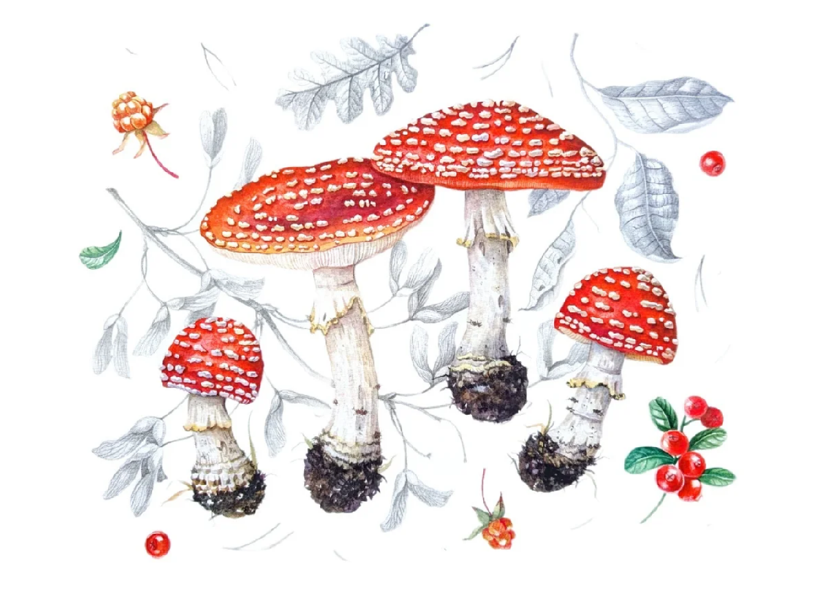 Фото: kitaygorod.vzmoscow.ru