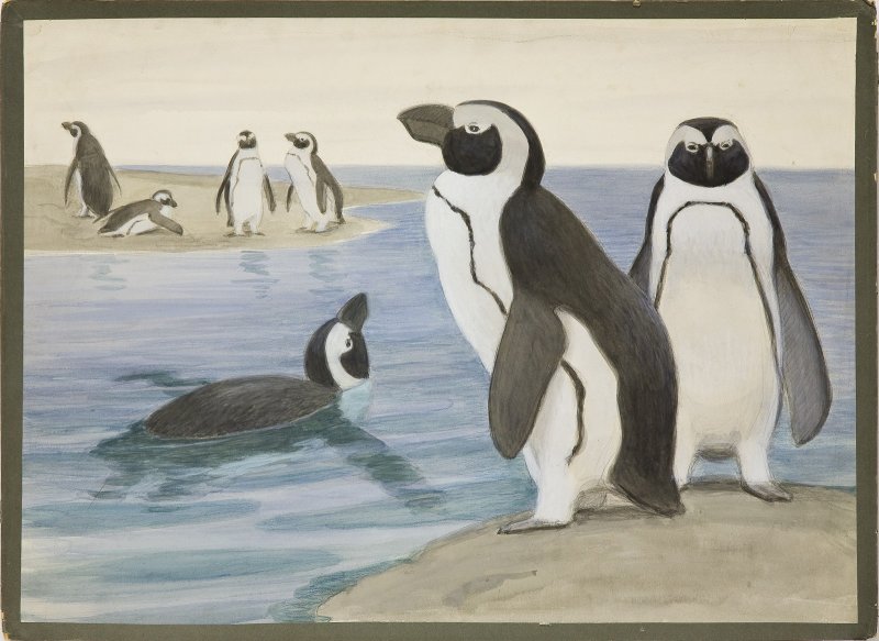 Фото: darwinmuseum.ru