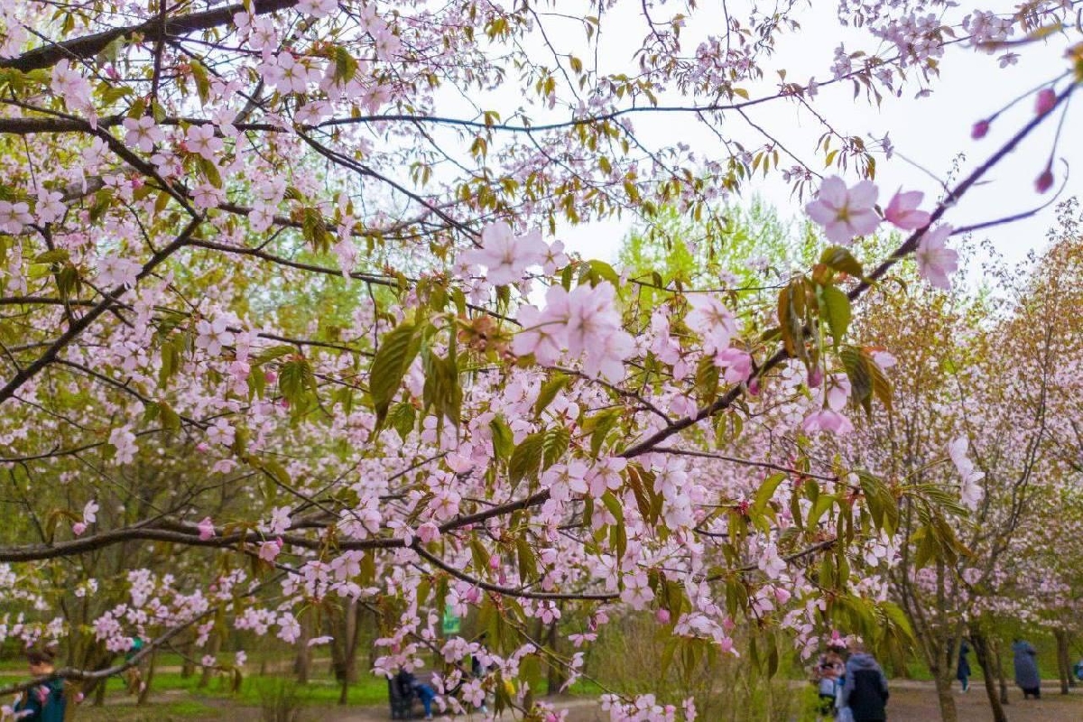 Фото: tsaritsyno-museum.ru