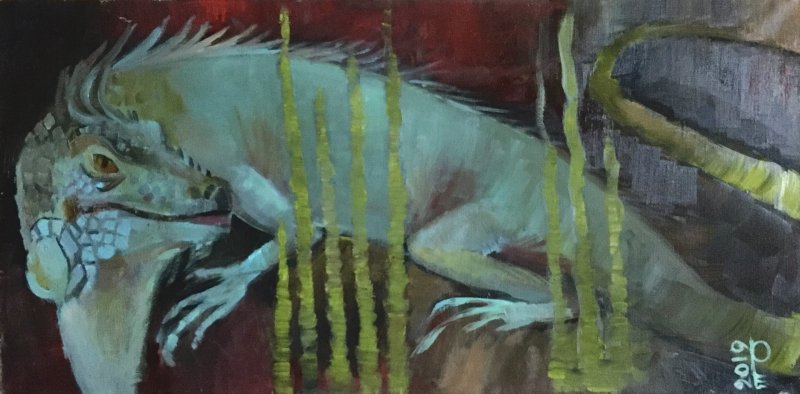 Фото: darwinmuseum.ru