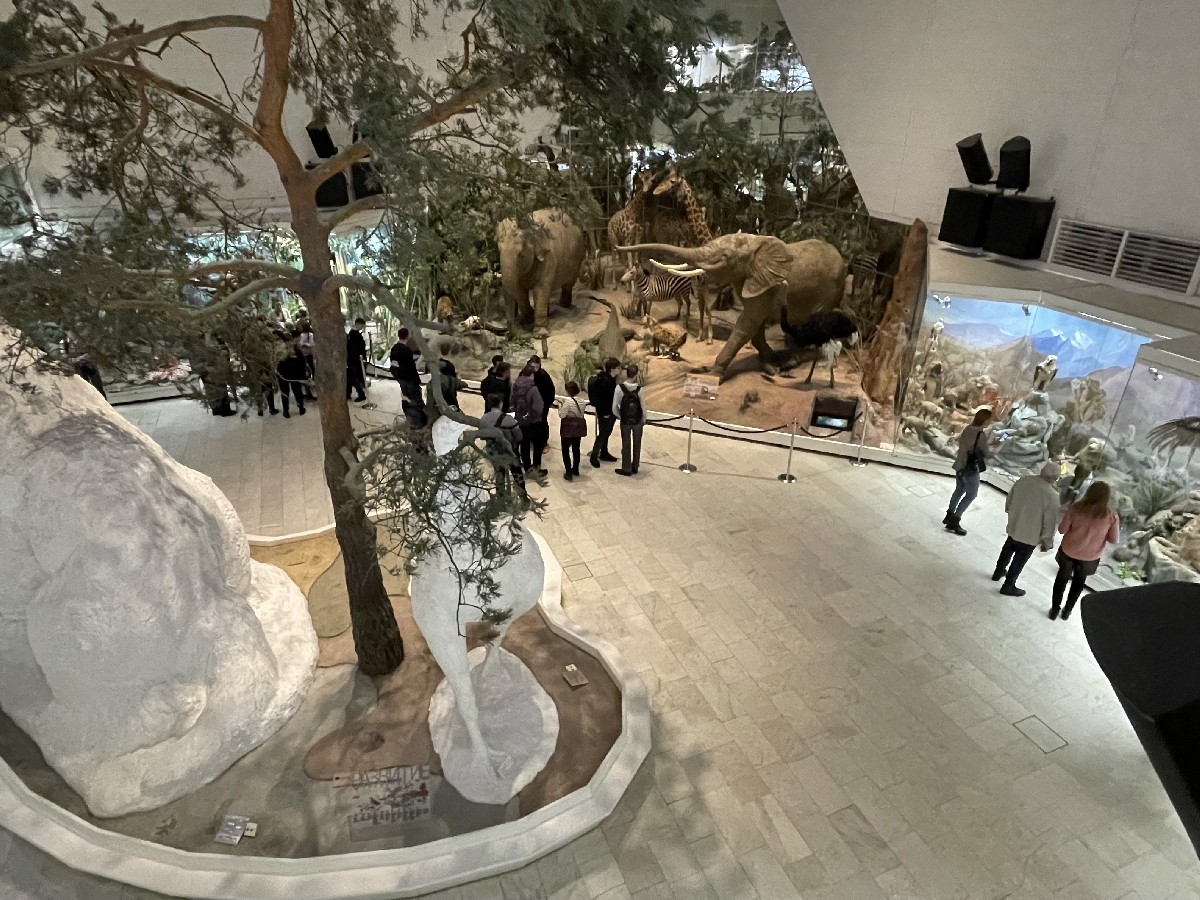 Дарвинский музей в Москве