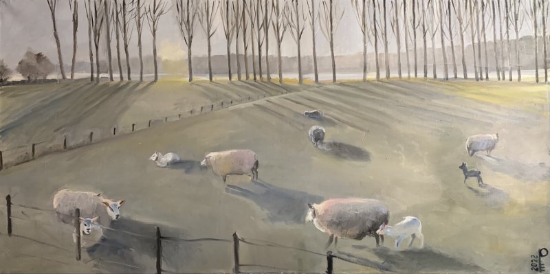 Фото: darwinmuseum.ru