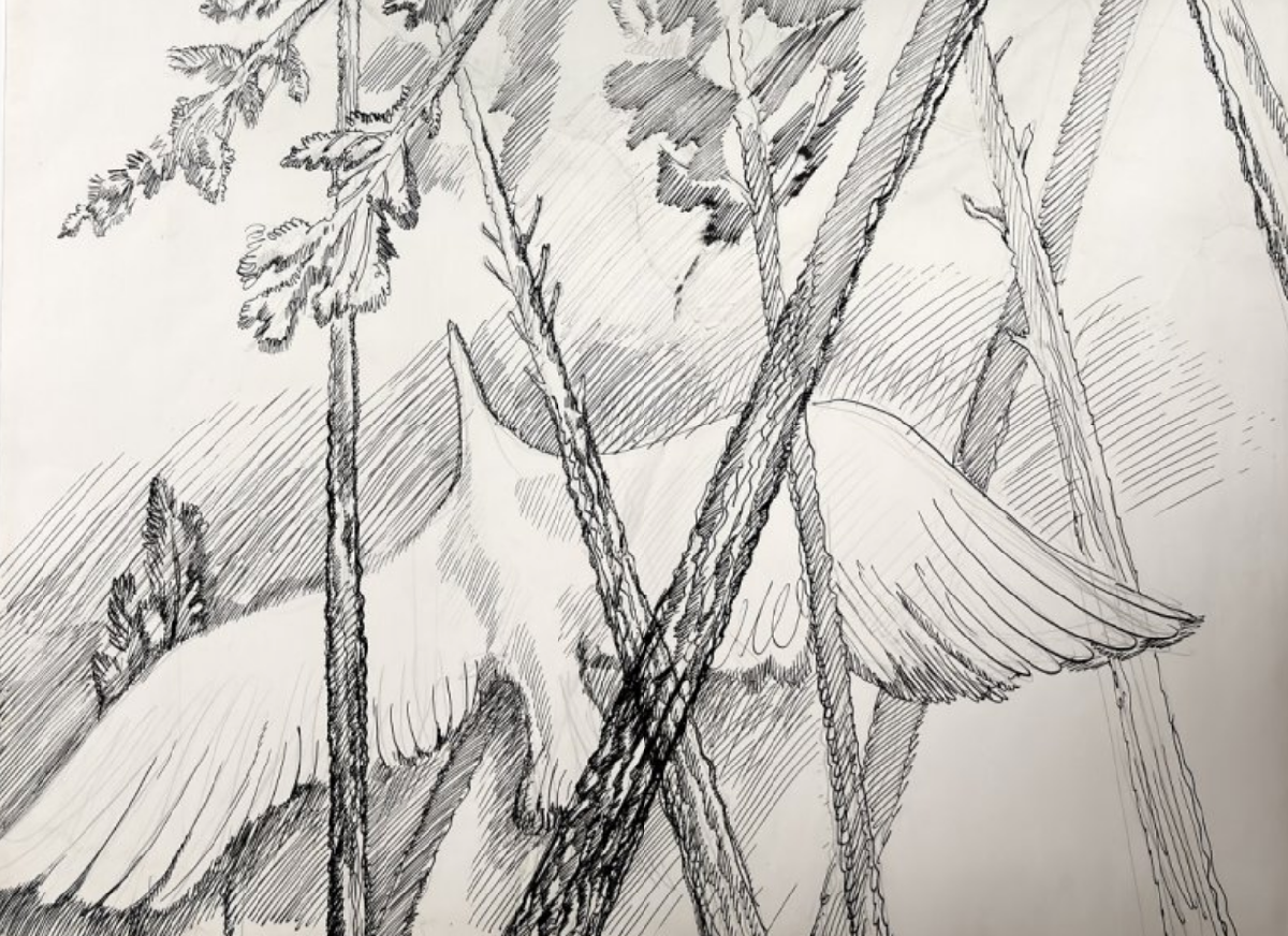 Фото: darwinmuseum.ru