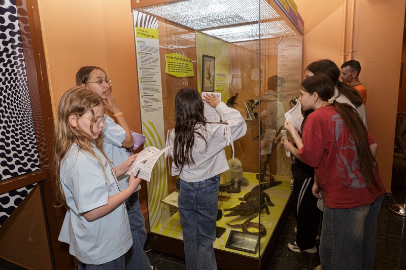 Фото: darwinmuseum.ru