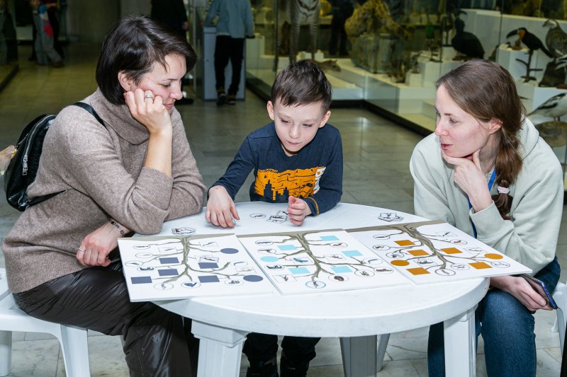 Фото: darwinmuseum.ru