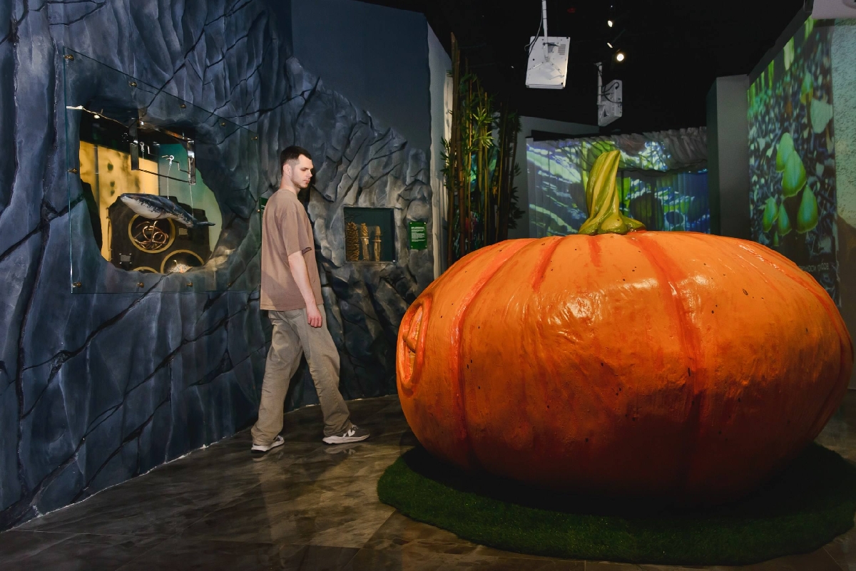 Музей рекордов, фактов и приключений «Рекордиум»