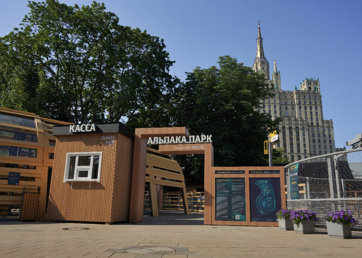 Круглогодичные экскурсии в «Альпака Парке»
